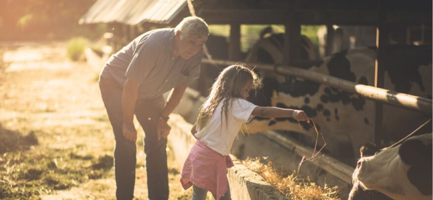 Autumn Newsletter 2023