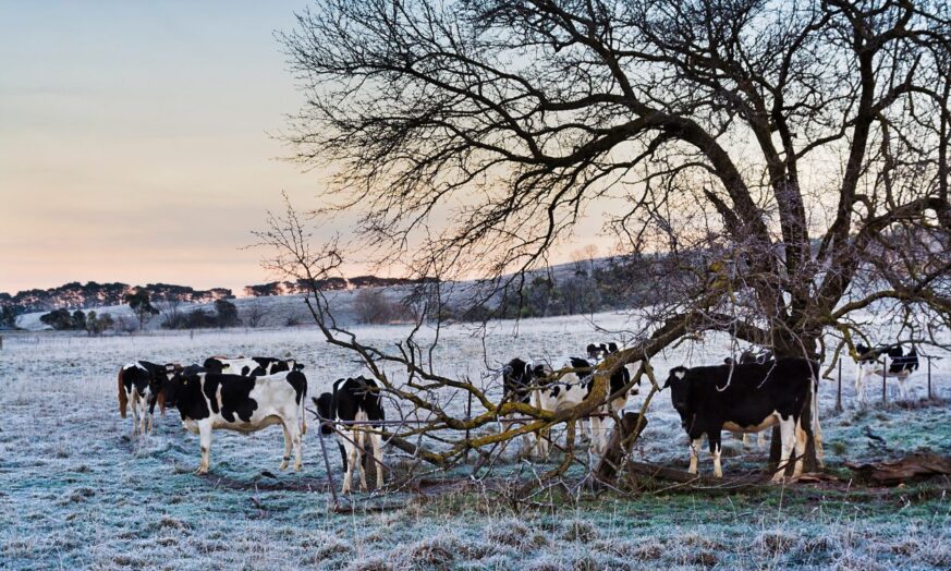 Winter Newsletter 2023